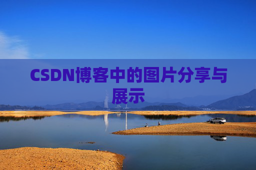 CSDN博客中的图片分享与展示